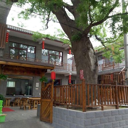 Beijing Great Wall XI Shui Yu Cun Li Bao Zhong Homestay Xinying 외부 사진